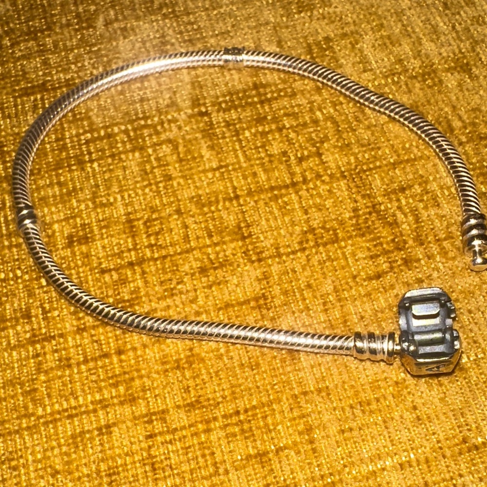 Pandora Silver Charm Bracelet - Picture 3 of 6